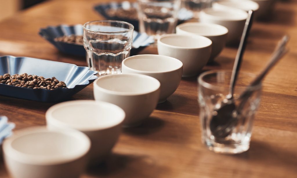 Cupping: everything you must know